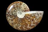 Polished, Agatized Ammonite (Cleoniceras) - Madagascar #88151-1